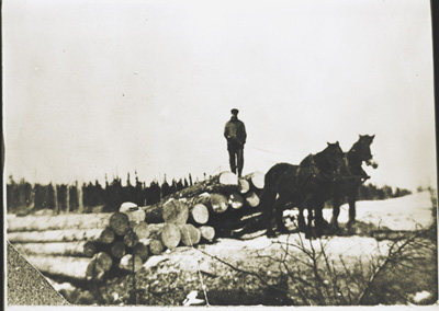 Reproduction d’une photographie de Ernest G&eacute;nier sur un tra&icirc;neau de billots de bois pour augmenter les revenus de sa ferme, G&eacute;nier (Ontario), 1921.