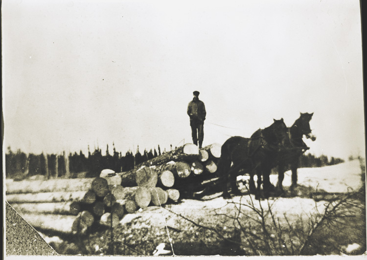 Reproduction d’une photographie de Ernest G&eacute;nier sur un tra&icirc;neau de billots de bois pour augmenter les revenus de sa ferme, G&eacute;nier (Ontario), 1921.