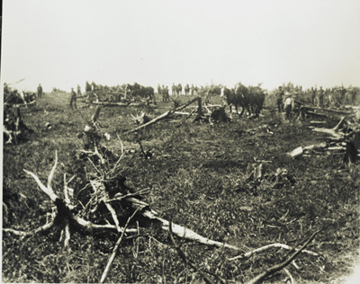 Reproduction d’une photographie d’une corv&eacute;e d’enl&egrave;vement des souches chez Trefl&eacute; Cousineau, Cochrane (Ontario), ca 1920.